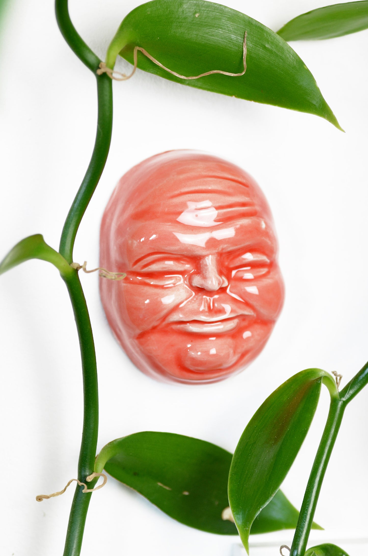 faccina rosso corallo decorazione da parete in ceramica macula