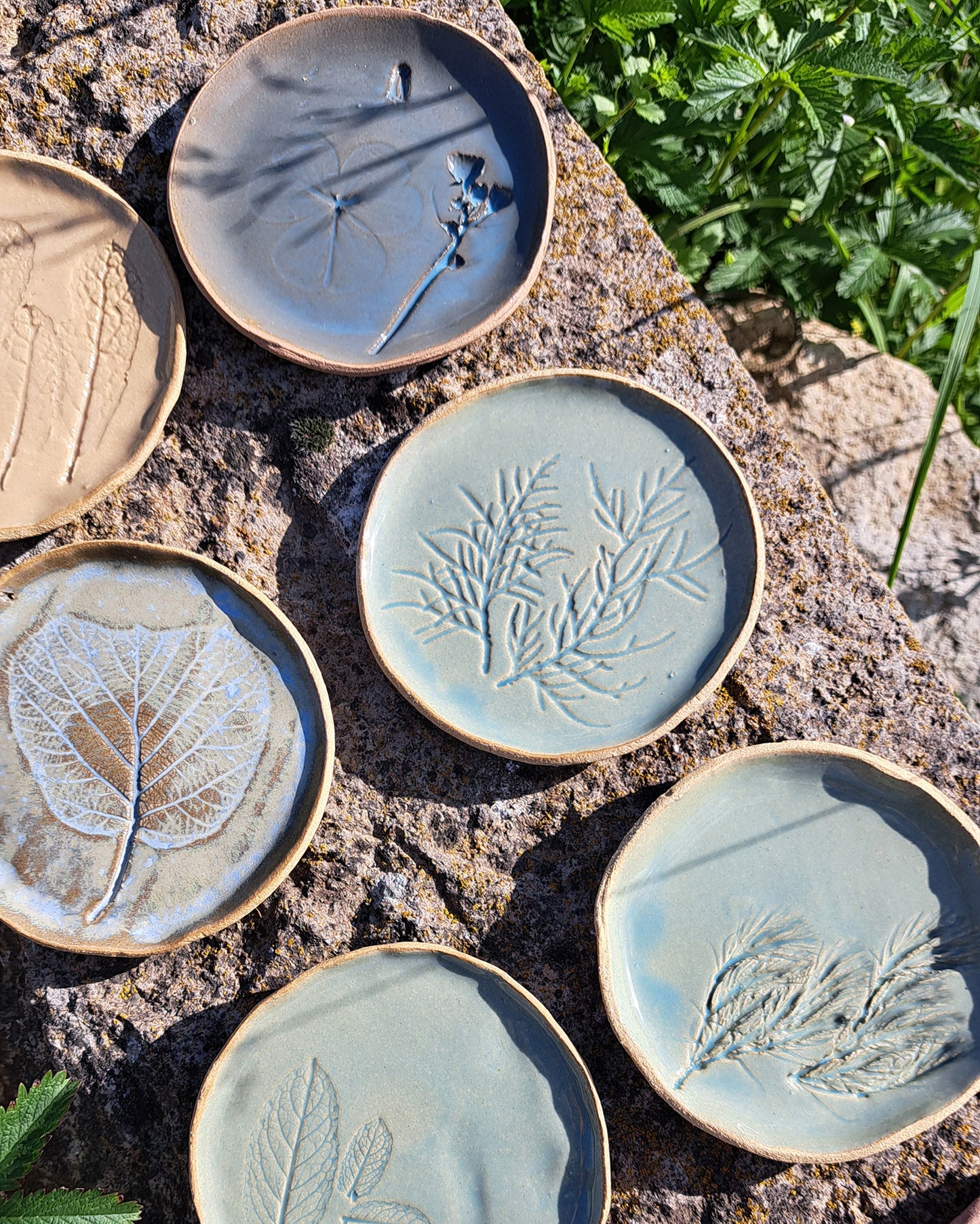 Workshop di ceramica selvatica ☘️ @ArtigianatoVivo