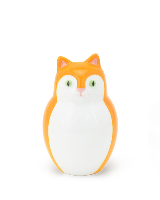 Gattino Arancio e bianco