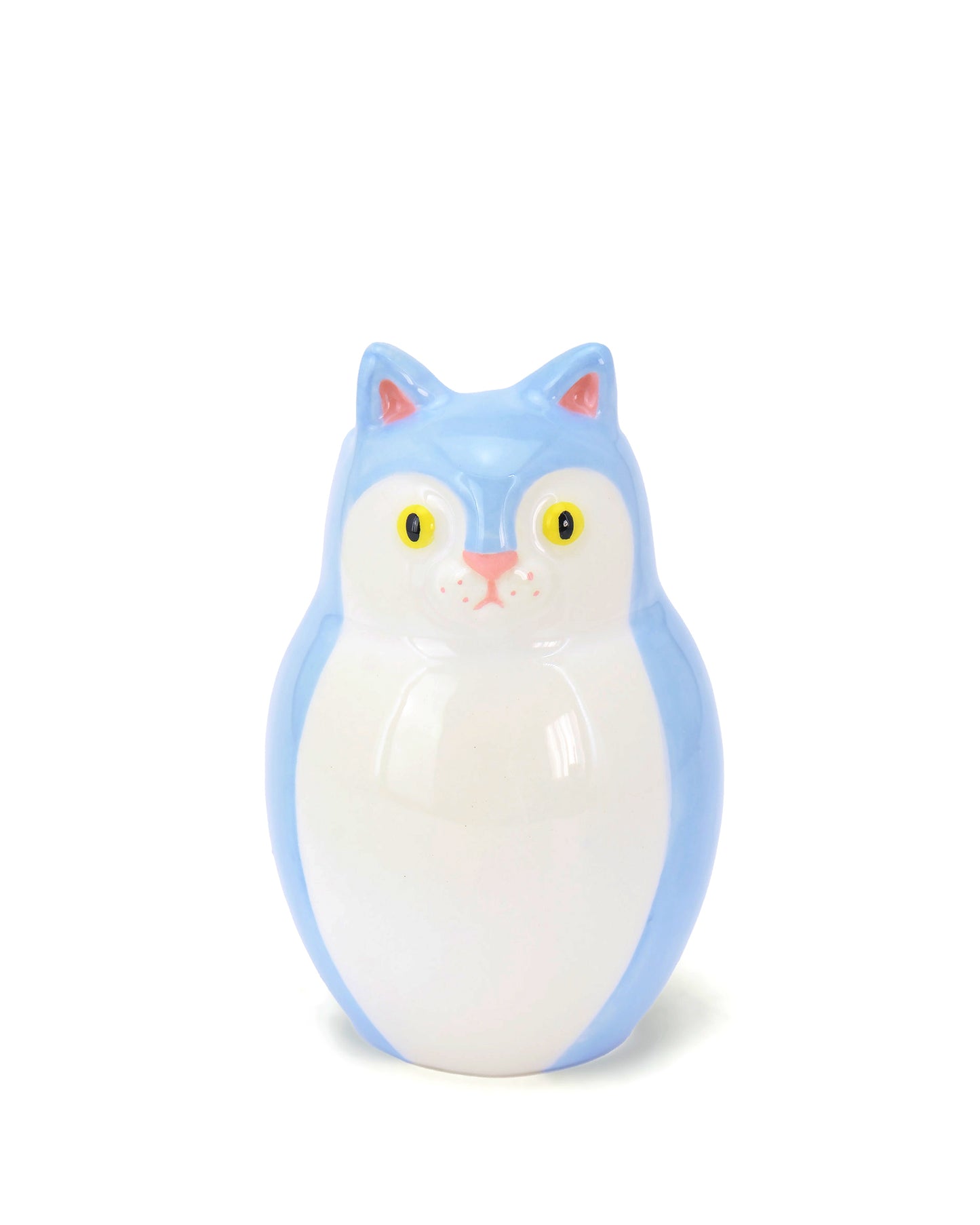 Gattino Azzurro e bianco