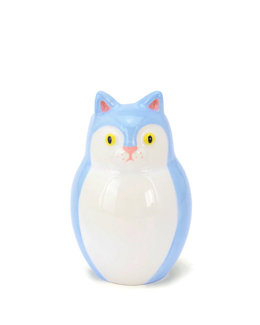 Gattino Azzurro e bianco