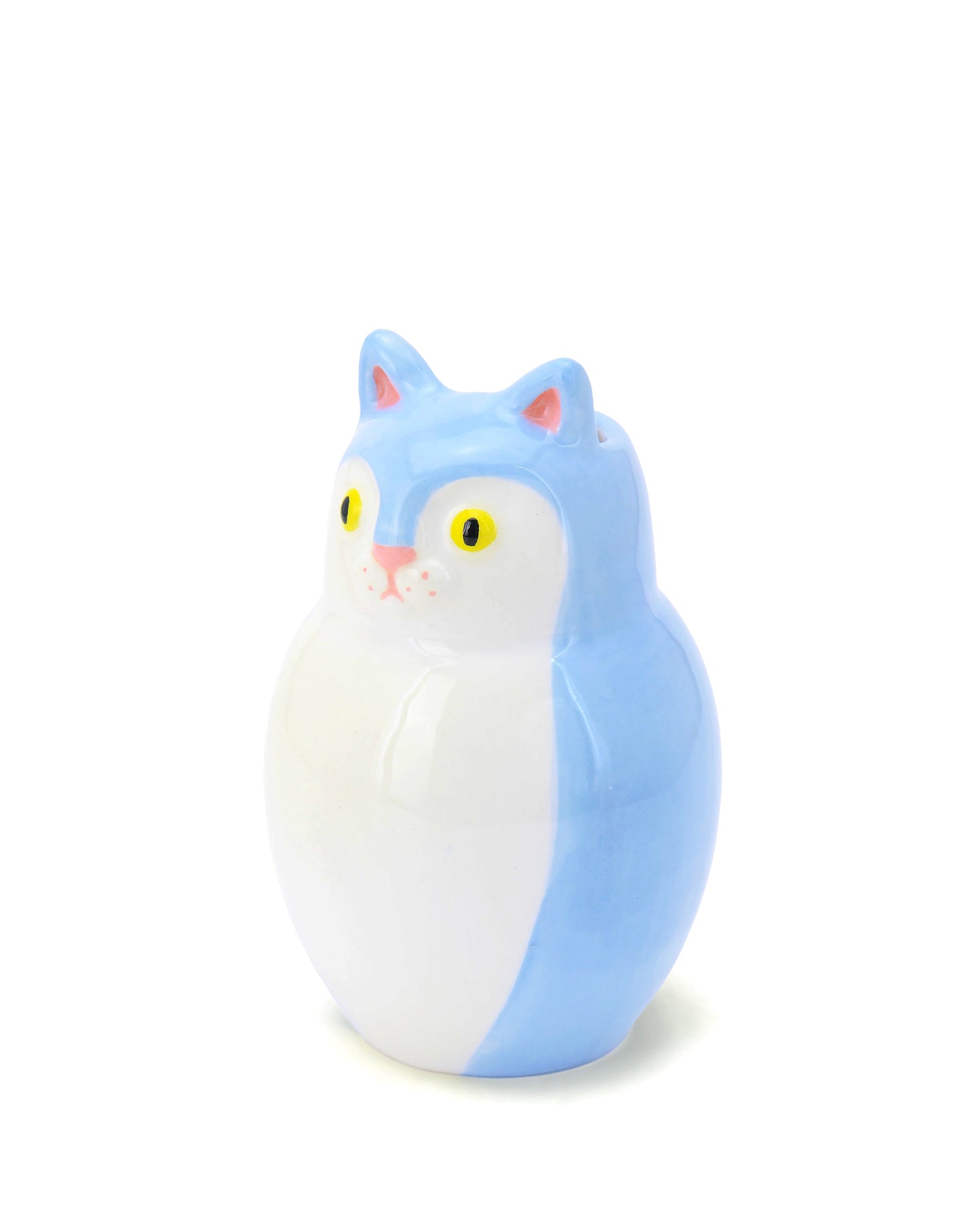 Gattino Azzurro e bianco