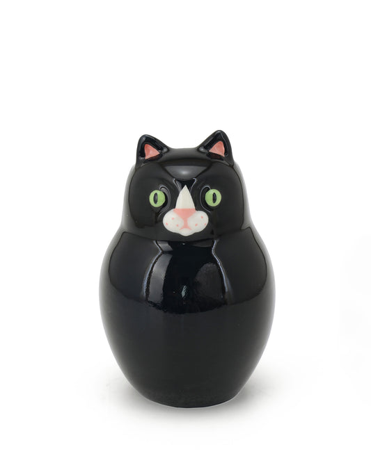 Gattino Nero e bianco